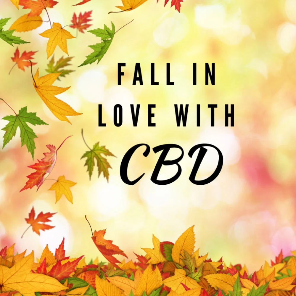 Top Fall CBD Products